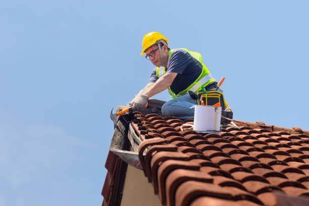 Best Roof Maintenance and Cleaning  in Bartlett, IL